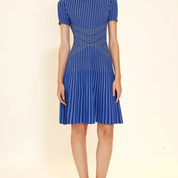 St. John Knits Atlantis Fit Flare Midi Length Striped Short Sleeve Dress - Picture 5 of 6